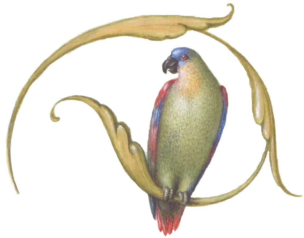vogel12-min_2.png