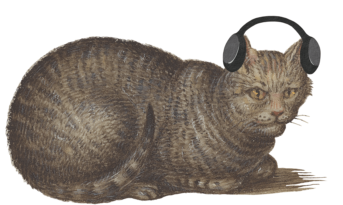 Audioguide-Katze2-min.png