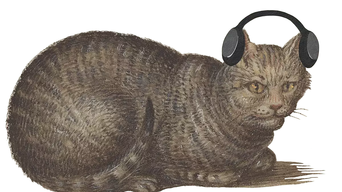 Audioguide-Katze2-min.png