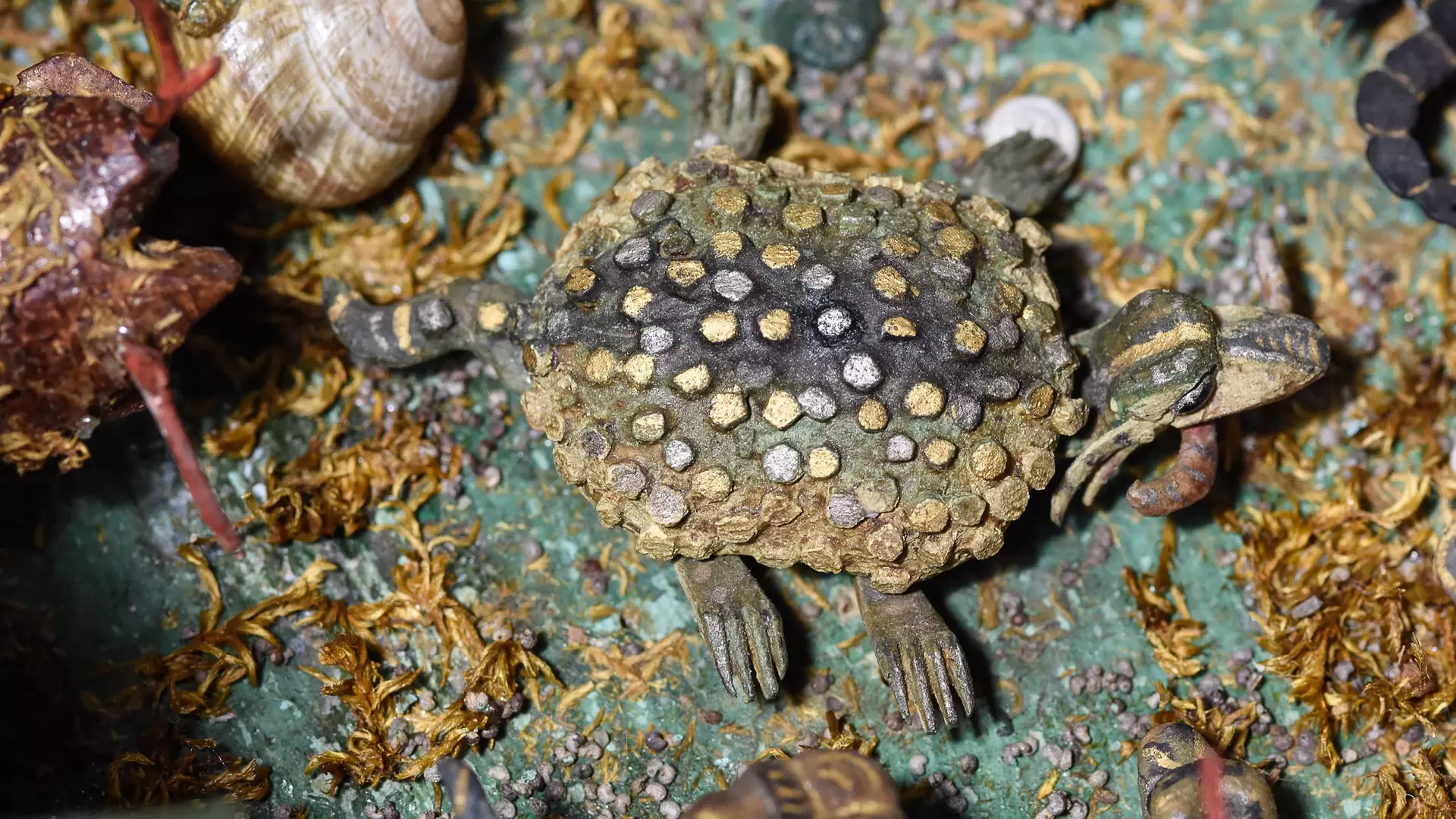 02_AMBRASER_SCHUETTELKASTEN_Schildkroete__KHM.jpg