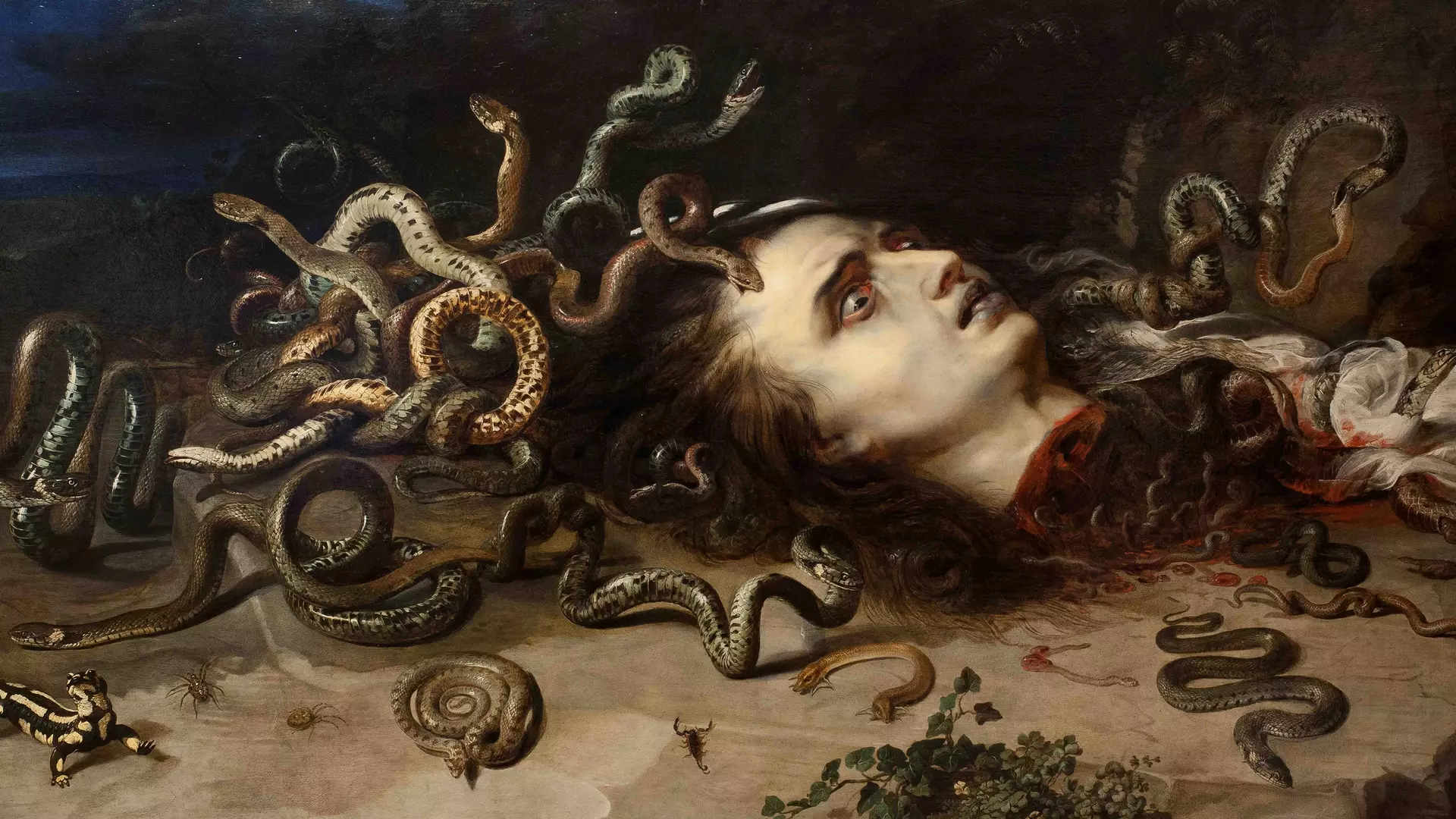 Rubens_HauptderMedusa_Brno_Presse.jpg
