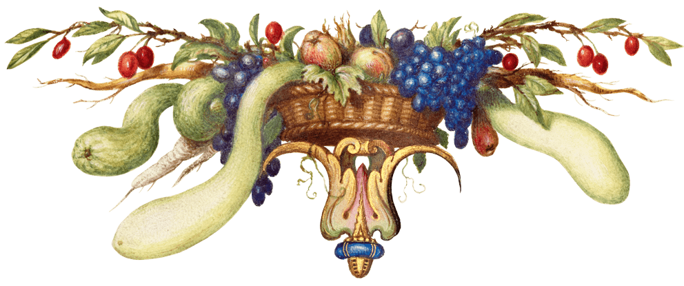 geschichte-obst-min.png