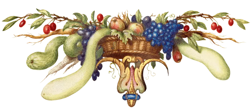 geschichte-obst-min.png