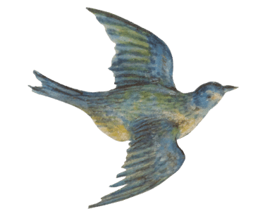vogel2-min.png