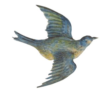 vogel2-min.png