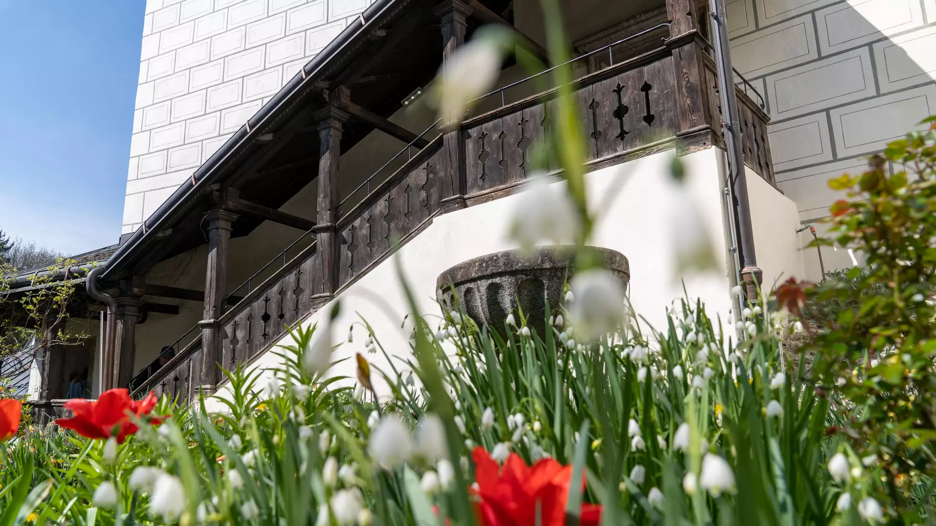 SAM_druck_fruehling_22_DSC04171-komprimiert.jpg