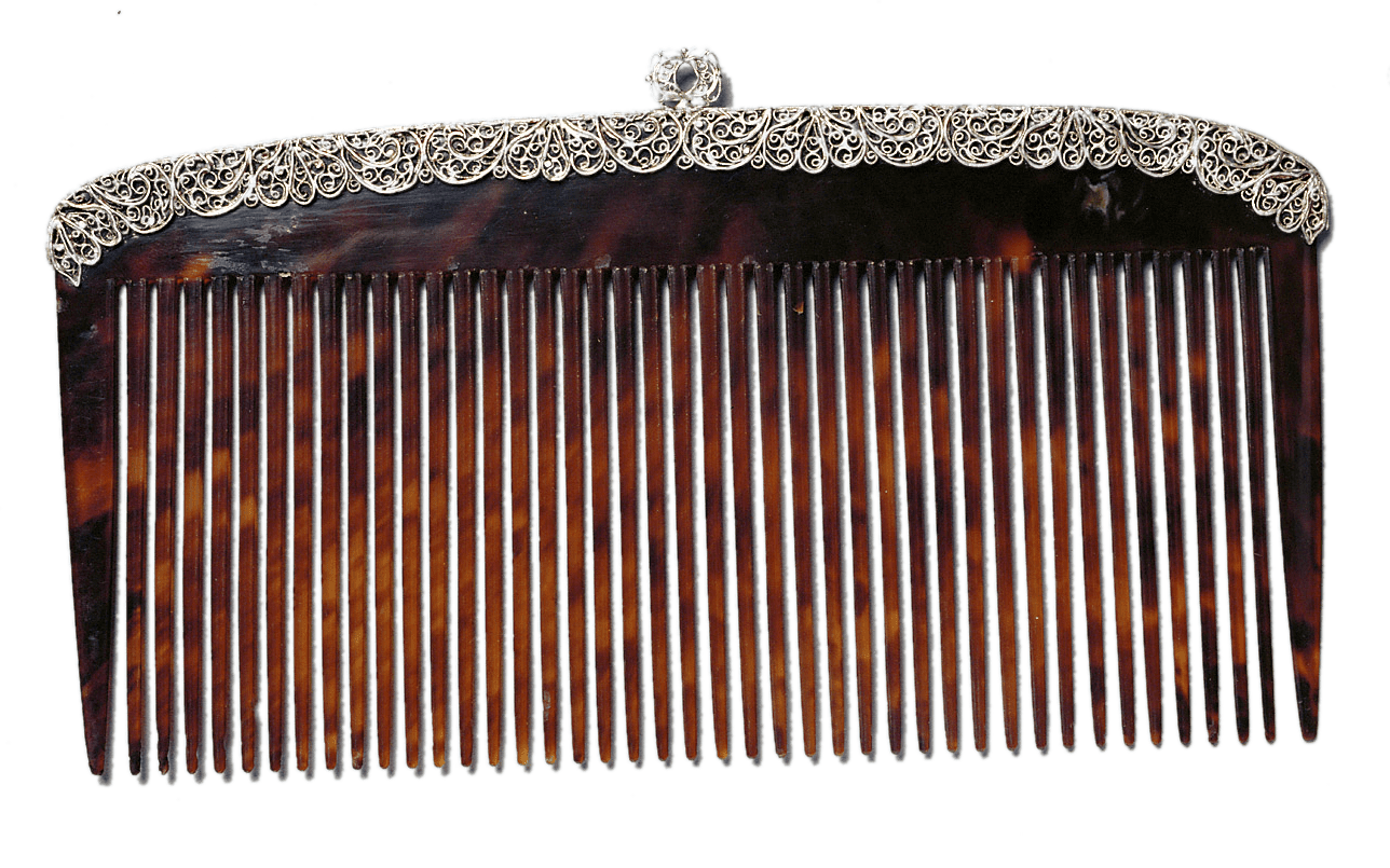 Kamm_AM_PA_1020_25277-min.png