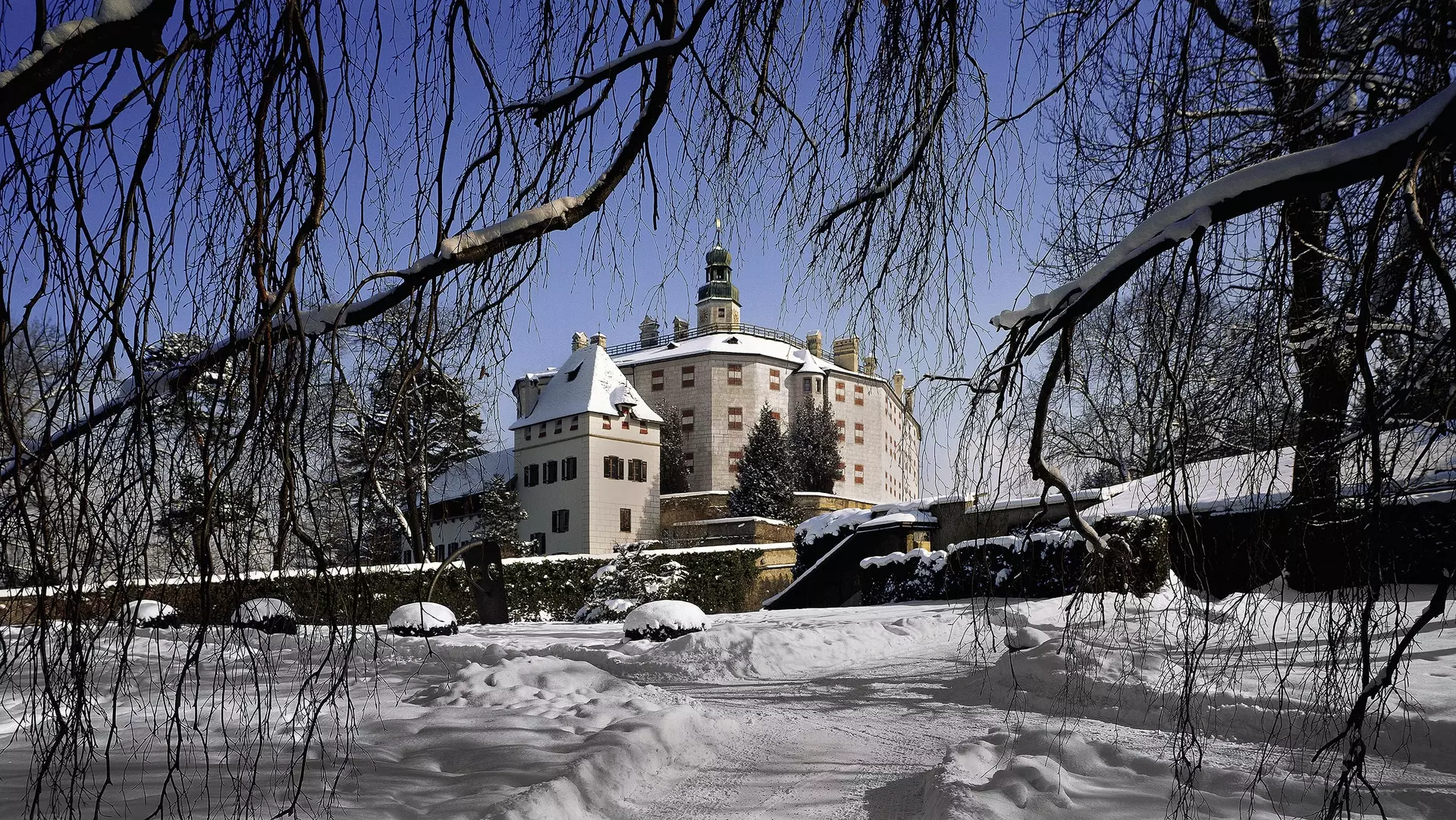Ambras_Winter_mit_Baum_breit_komprimiert.jpg