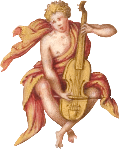 cello-min.png